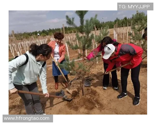 王岚的音乐旅程与人生哲学探索：从歌声中看见真实自我与梦想追寻