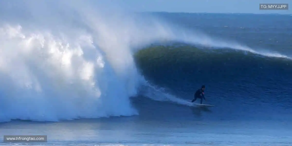 全球直播，你的呐喊从未缺席！📱